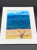 "Layers of Colorado" 5x7 print