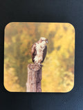 Coaster-Overlooking Osprey wood photo coaster