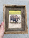 Thirsty Moose- FRAMED 5x7 Wood Print