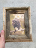 Sunset Eagle- FRAMED 5x7 Wood Print