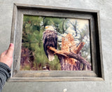 Perched Eagle- FRAMED 11x14 Wood Print