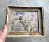 Overlooking Eagle- FRAMED 8x10 wood print