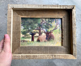 Elk & Birdbath- FRAMED 5x7 Wood Print