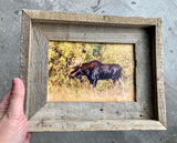 Bull Moose- FRAMED 5x7 Wood Print