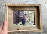 Black Bear- FRAMED 5x7 Wood Print