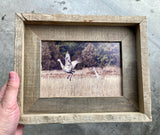 Sandhill Cranes- FRAMED 5x7Wood Print