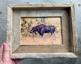 Bull Moose- FRAMED 5x7 Wood Print
