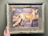 Red Fox Profile- FRAMED 8x10 wood print