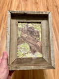 Owl Pair- FRAMED 5x7 wood print