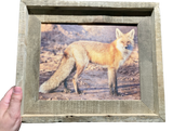 Red Fox Profile- FRAMED 5x7 Wood Print