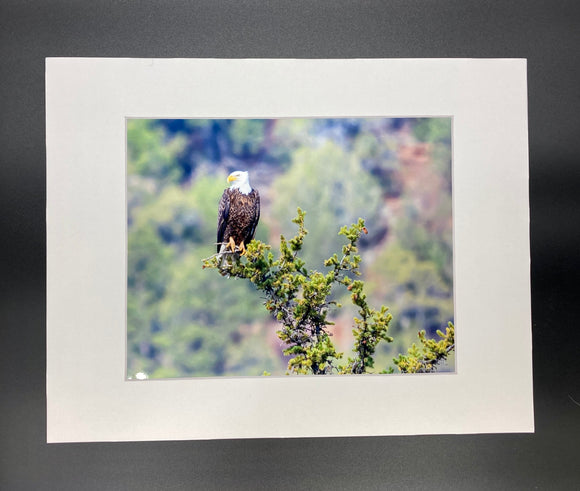 Overlooking Eagle photo print- 11x14