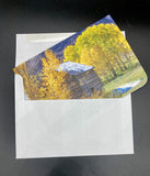 Card- Sylvan Lake Cabin