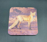 Coaster- Fox Profile