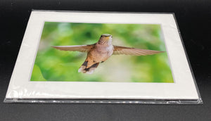"Hummingbird Wing Span" 5x7 print