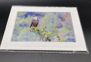 "Overlooking Eagle" 5x7 print