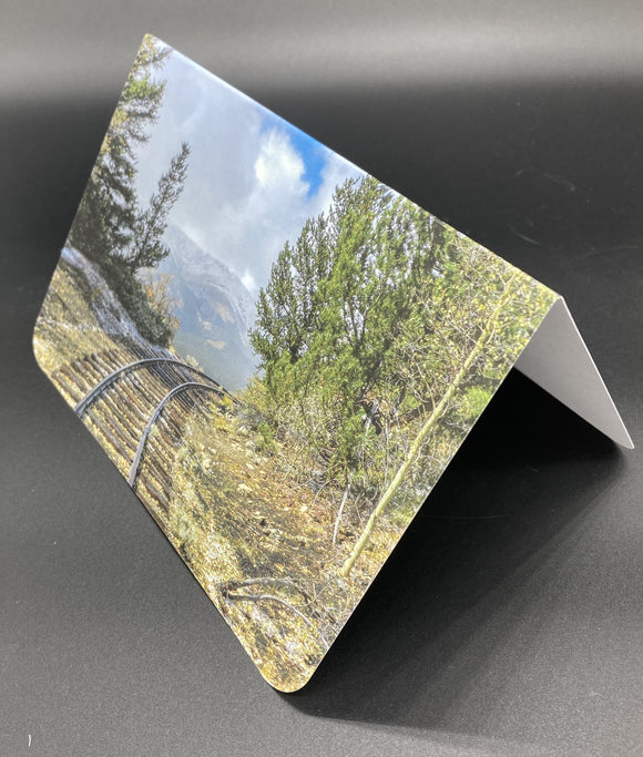 Card- Train Tracks to Nowhere