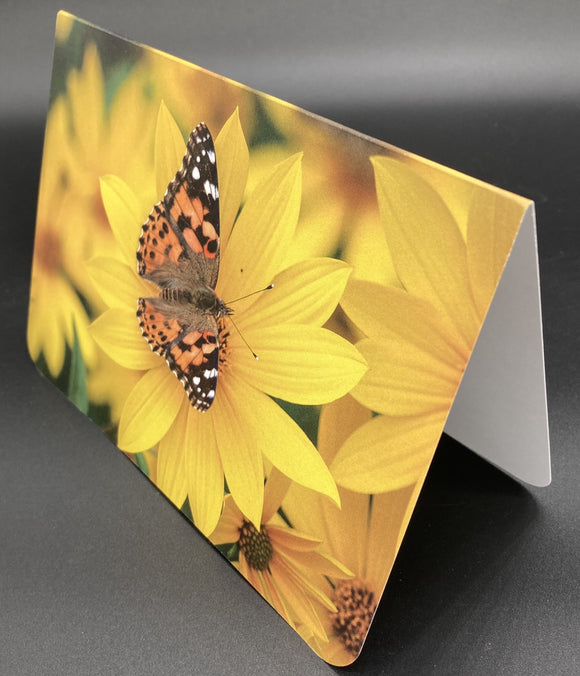 Card- Painted Lady