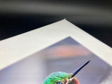 Anna's Hummingbird photo print- 11x14