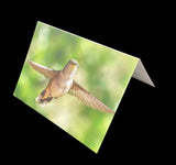 Card- Hummingbird Wing Span