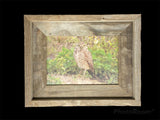 Burrowing Owl- FRAMED 5x7 wood print