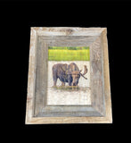 Thirsty Moose- FRAMED 5x7 Wood Print