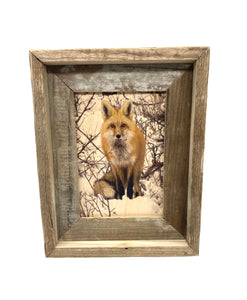 Snowy Fox- FRAMED 5x7 Wood Print