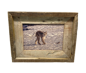 Smiling Bobcat- FRAMED 5x7Wood Print