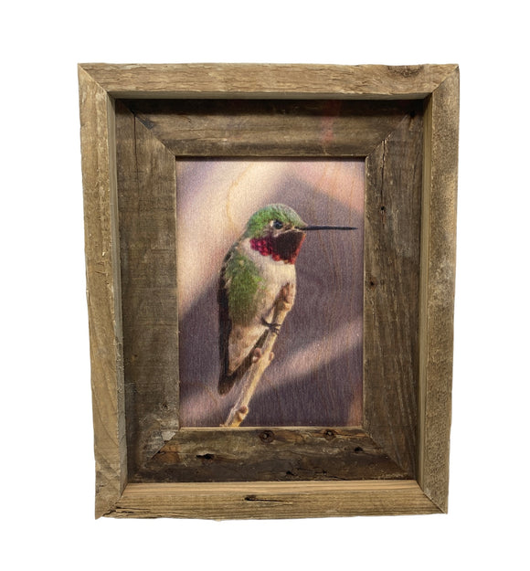 Anna's Hummingbird- FRAMED 5x7 Wood Print