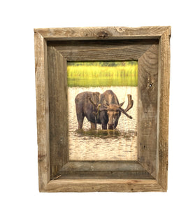 Thirsty Moose- FRAMED 5x7 Wood Print