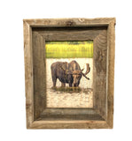 Thirsty Moose- FRAMED 5x7 Wood Print