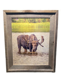 Thirsty Moose- FRAMED 8x10 wood print
