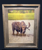 Thirsty Moose- FRAMED 8x10 wood print