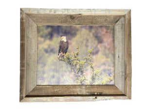 Overlooking Eagle- FRAMED 8x10 wood print