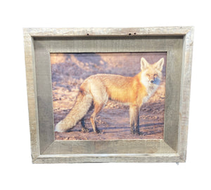 Red Fox Profile- FRAMED 5x7 Wood Print