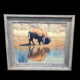 Bison Reflection - FRAMED 11x14 Wood Print