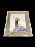 Elk Head Turn- FRAMED 8x10 wood print