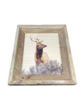 Elk Head Turn- FRAMED 8x10 wood print