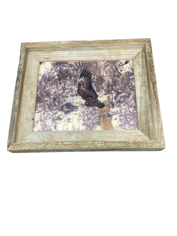 Eagle Take Off- FRAMED 8x10 wood print