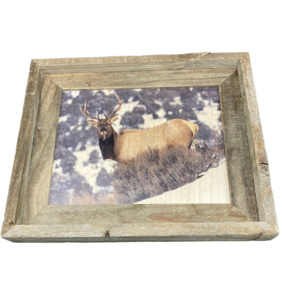 Downhill Elk- FRAMED 8x10 wood print