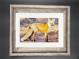 "Red Fox Profile" 5x7 print