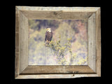 Overlooking Eagle- FRAMED 8x10 wood print