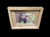 Black Bear- FRAMED 5x7 Wood Print