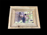 Black Bear- FRAMED 5x7 Wood Print