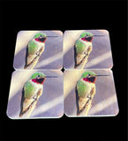 Coaster- Hummingbird