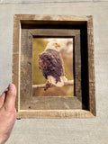 Sunset Eagle- FRAMED 5x7 Wood Print